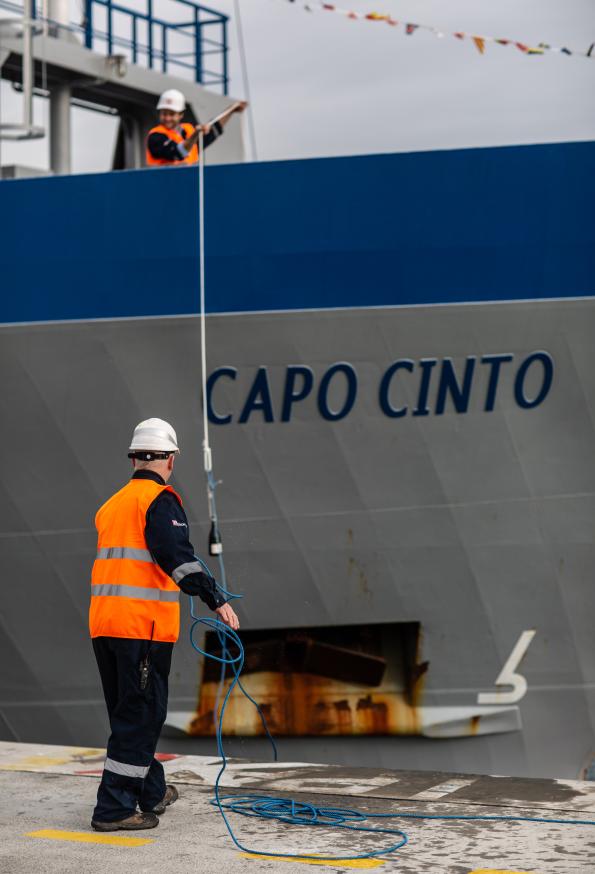 Capo cinto